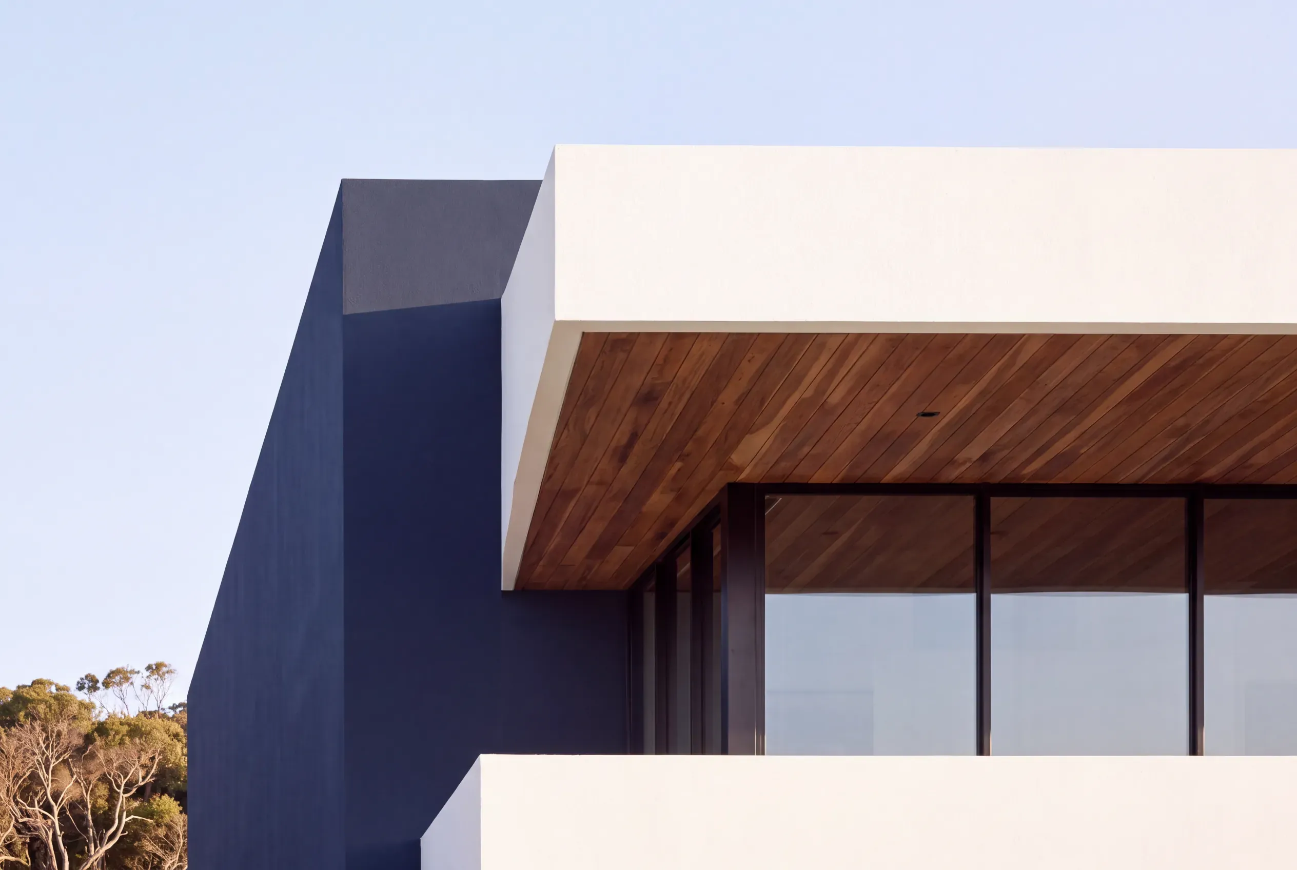 A close view of a deep navy rendered blade wall meeting a crisp white roof slab and a timber-lined soffit, with black-framed glazing below.